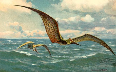 Pteranodon (Illustration von Heinrich Harder, Copyright ausgelaufen)